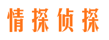 唐河侦探社